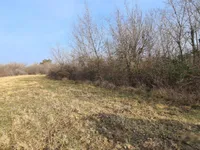 Недвижимость Усадьба, ферма Тиньян, Урбанцы.: 3