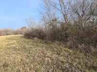 Недвижимость Усадьба, ферма Тиньян, Урбанцы.: 4