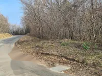 Недвижимость Усадьба, ферма Тиньян, Урбанцы.: 7