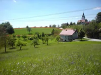 Недвижимость Имение и усадьба Тополё, Текачево.: 3