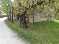 Недвижимость Имение и усадьба Тополё, Текачево.: 9