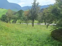 Недвижимость Имение, ферма Воловле: 1