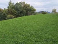 Недвижимость Имение, ферма Воловле: 2