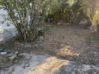 Недвижимость Усадьба Фермерово Копер: 4