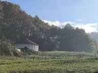 Недвижимость Усадьба Кметияново Сеножеце с конюшней: 2