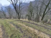 Недвижимость Участок, ферма Ново Кук: 5