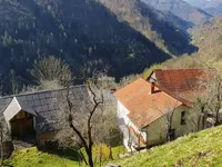 Недвижимость Участок, ферма Ново Кук: 6