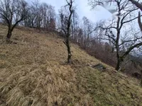 Недвижимость Участок, ферма Ново Кук: 7