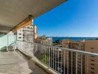 Недвижимость Apartment Monaco, La Rousse: 2