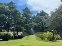 Недвижимость Apartment Cannes: 12