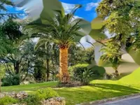 Недвижимость Apartment Cannes Croix Gardes: 12