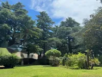 Недвижимость Apartment Cannes Croix Gardes: 13