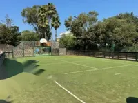 Недвижимость Apartment Cannes Croix Gardes: 15