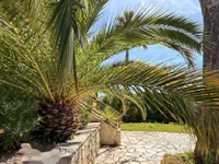 Недвижимость Apartment Cannes CroixGardes: 8