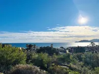 Недвижимость Apartment Cannes: 1