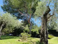 Недвижимость Apartment Cannes République: 3