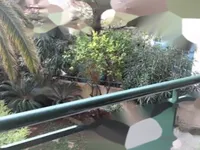 Недвижимость Apartment Cannes: 9