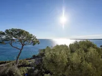 Недвижимость Apartment Cannes Californie: 3