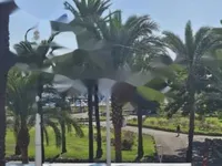 Недвижимость Apartment Pointe Croisette: 11