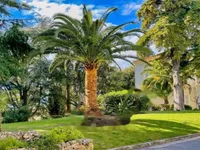 Недвижимость Apartment Cannes: 7