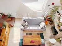 Недвижимость Duplex Cannes Californie: 2