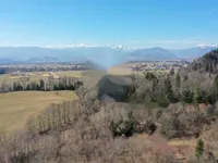 Недвижимость Участок в Дворской Веси на окраине деревни: 3