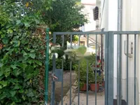 Недвижимость Двухкомнатная квартира в Центре: 2