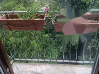 Недвижимость Четырехкомнатная квартира Ичичи: 15