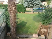 Недвижимость Трёхкомнатная квартира Центр: 10