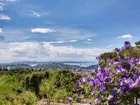 Недвижимость Maison Cannes: 22