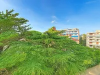 Недвижимость Apartment Cannes République: 7