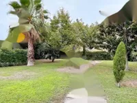 Недвижимость Apartment Pointe Croisette: 6