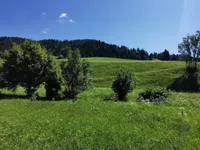 Недвижимость Усадьба Ново Копривник в Божине на Солнечной стороне Альп.: 7