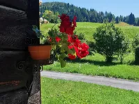 Недвижимость Усадьба Ново Копривник в Божине на Солнечной стороне Альп.: 10