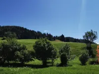 Недвижимость Усадьба Ново Копривник в Божине на Солнечной стороне Альп.: 11