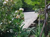 Недвижимость Квартира Оприч, Опатия: 16