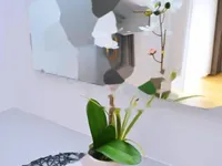 Недвижимость Дуплекс Опатия Центр: 15