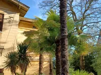 Недвижимость Апартаменты в центре Опатии: 7