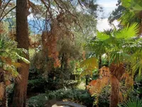 Недвижимость Апартаменты в центре Опатии: 8