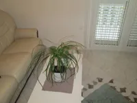 Недвижимость Четырехкомнатная квартира Оприч: 10