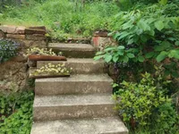 Недвижимость Двухкомнатная квартира Воложко: 55