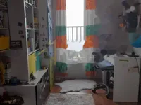 Недвижимость Трехкомнатная квартира Центр: 12