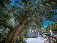 Недвижимость Дуплекс Вепринац, Опатия: 35