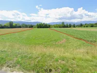 Недвижимость Земельный участок Новое Лесце: 1