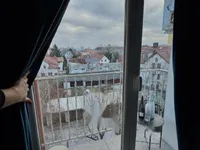 Недвижимость Трехкомнатная квартира Шишка: 14