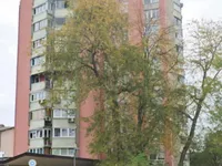 Недвижимость Квартира напротив кинотеатра: 8