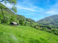 Недвижимость Усадьба и ферма Святого Юрия: 8