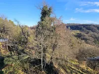 Недвижимость Дом, Плазовье: 13