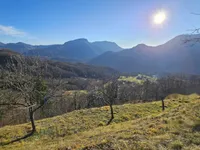 Недвижимость Дом, Плазовье: 19