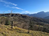 Недвижимость Дом, Плазовье: 20